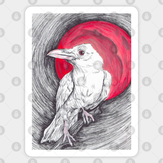 White Raven Sticker by Art of V. Cook